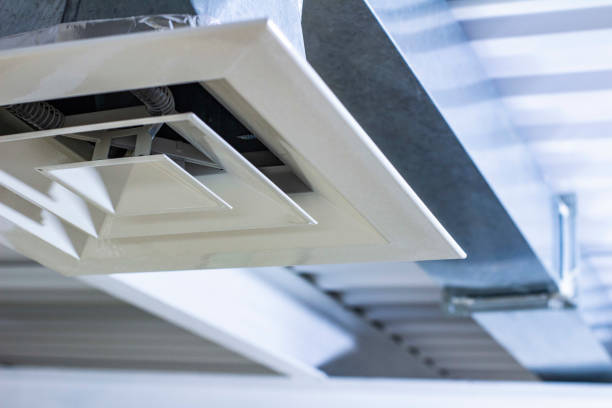 Best Dryer Vent Cleaning Services  in Faribault, MN