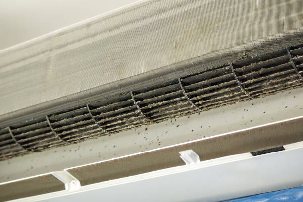 Best Air Duct Cleaning Near Me  in Faribault, MN